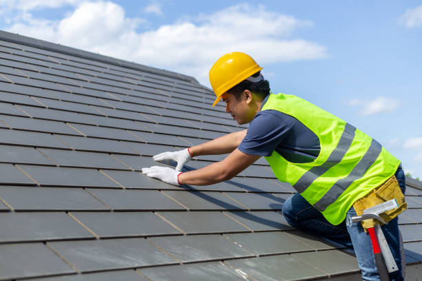 Best Roof Leak Repair  in Freeland, WA
