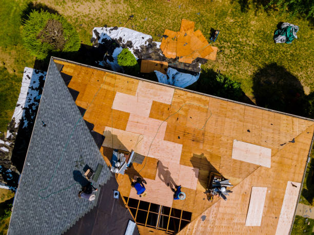 Best Storm Damage Roof Repair  in Freeland, WA