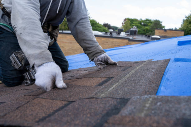 Best Residential Roofing Contractor  in Freeland, WA