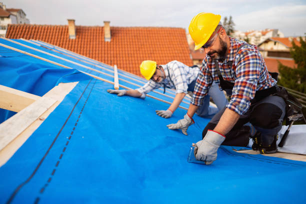 Best Metal Roofing Contractor  in Freeland, WA